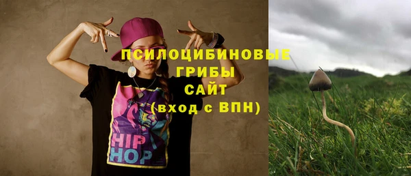 ALPHA PVP Володарск