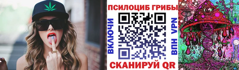 Купить закладки  Краснозаводск  Псилоцибиновые грибы MAGIC MUSHROOMS 